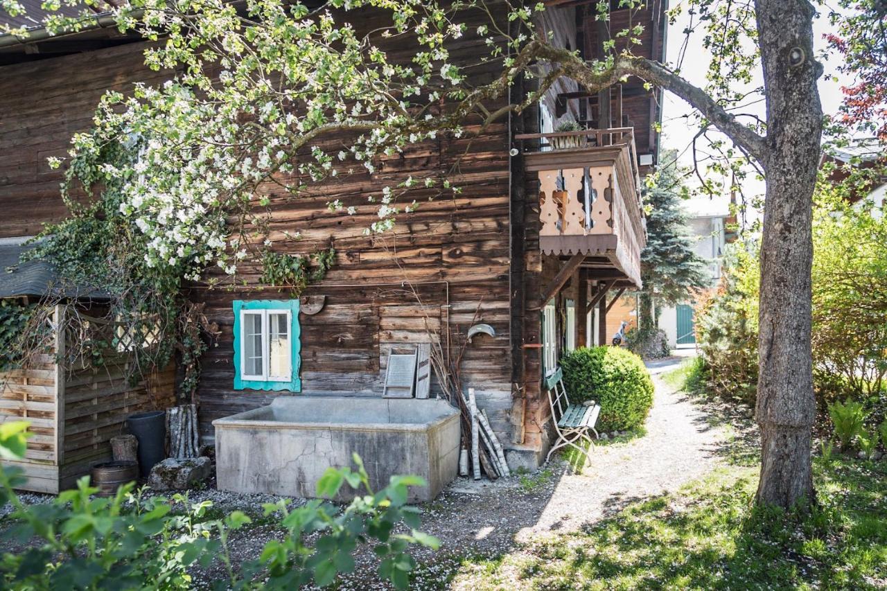 Hotel Seehof Zell am See Dış mekan fotoğraf